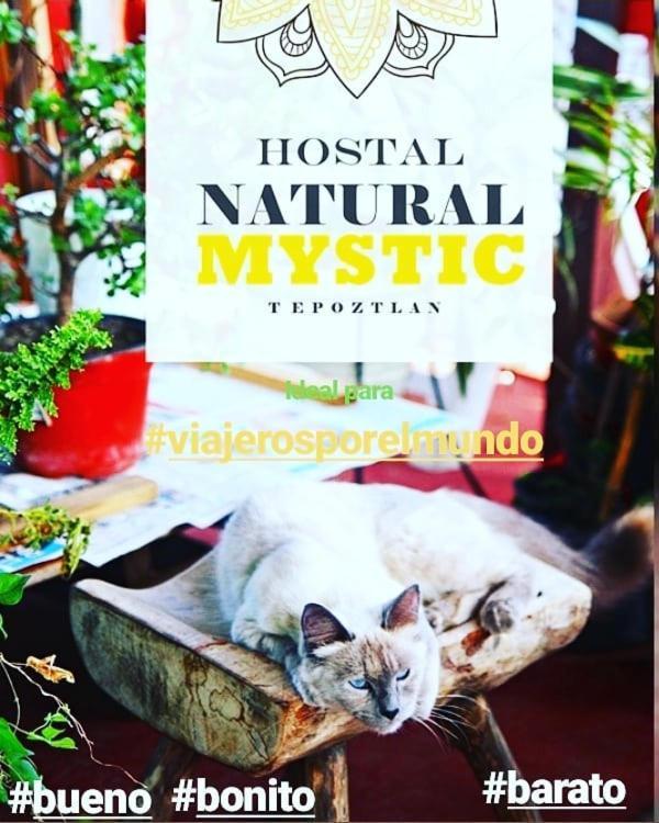 Natural Mystic Hostal Тепостлан Екстер'єр фото
